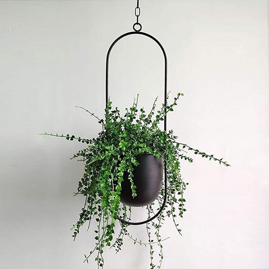 Pakabinamas vazonas „FloraFrame“
